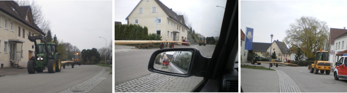 Maibaum1